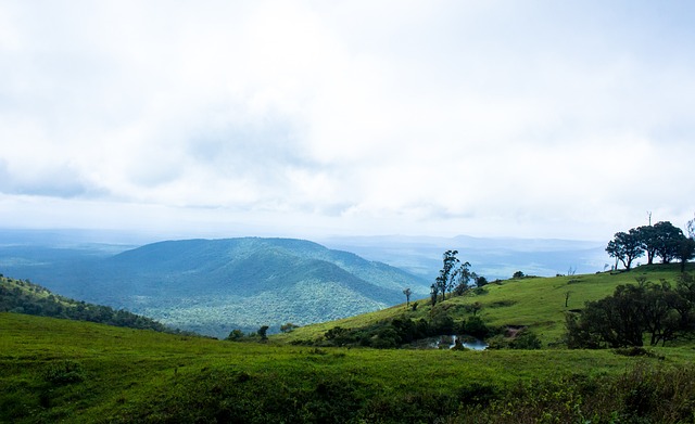 市在相关领 市在相关领