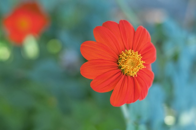 节日市场总 节日市场总