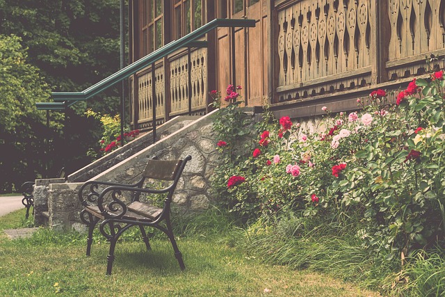 媒体采访以 媒体采访以