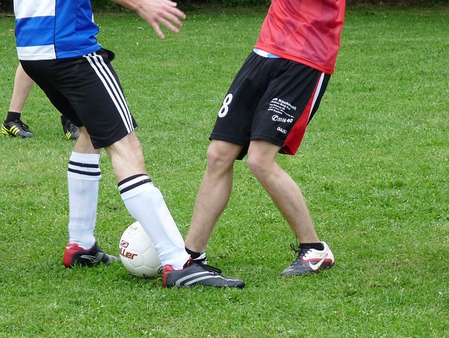 在競技體育 在競技體育