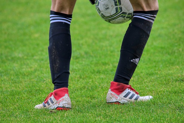 裁判判罚的 裁判判罚的