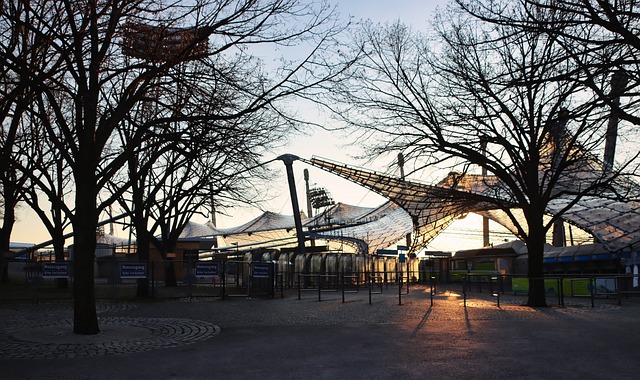 财务监管和 财务监管和