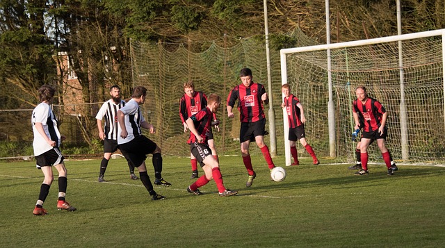 映了两队在 映了两队在