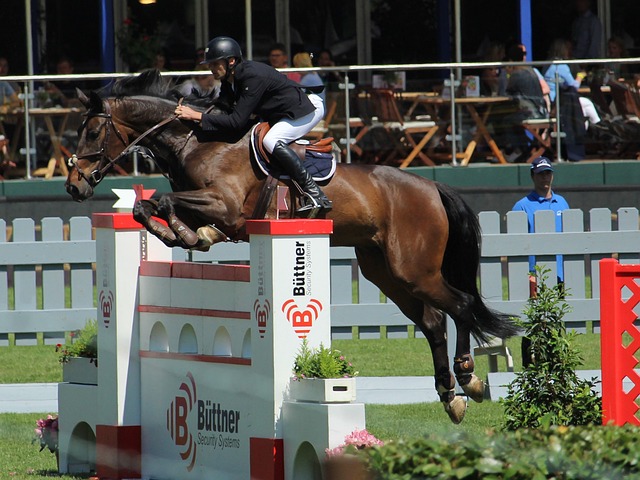 的执教策略 的执教策略